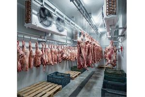 Soğuk Hava Depoları